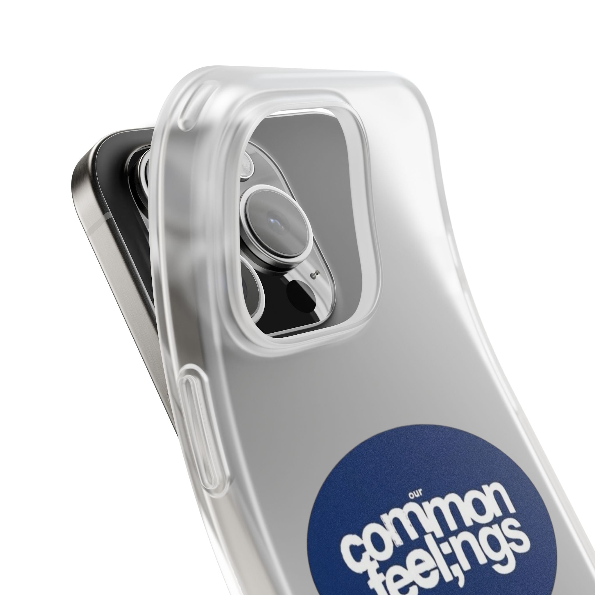 Our Common Feelings Case