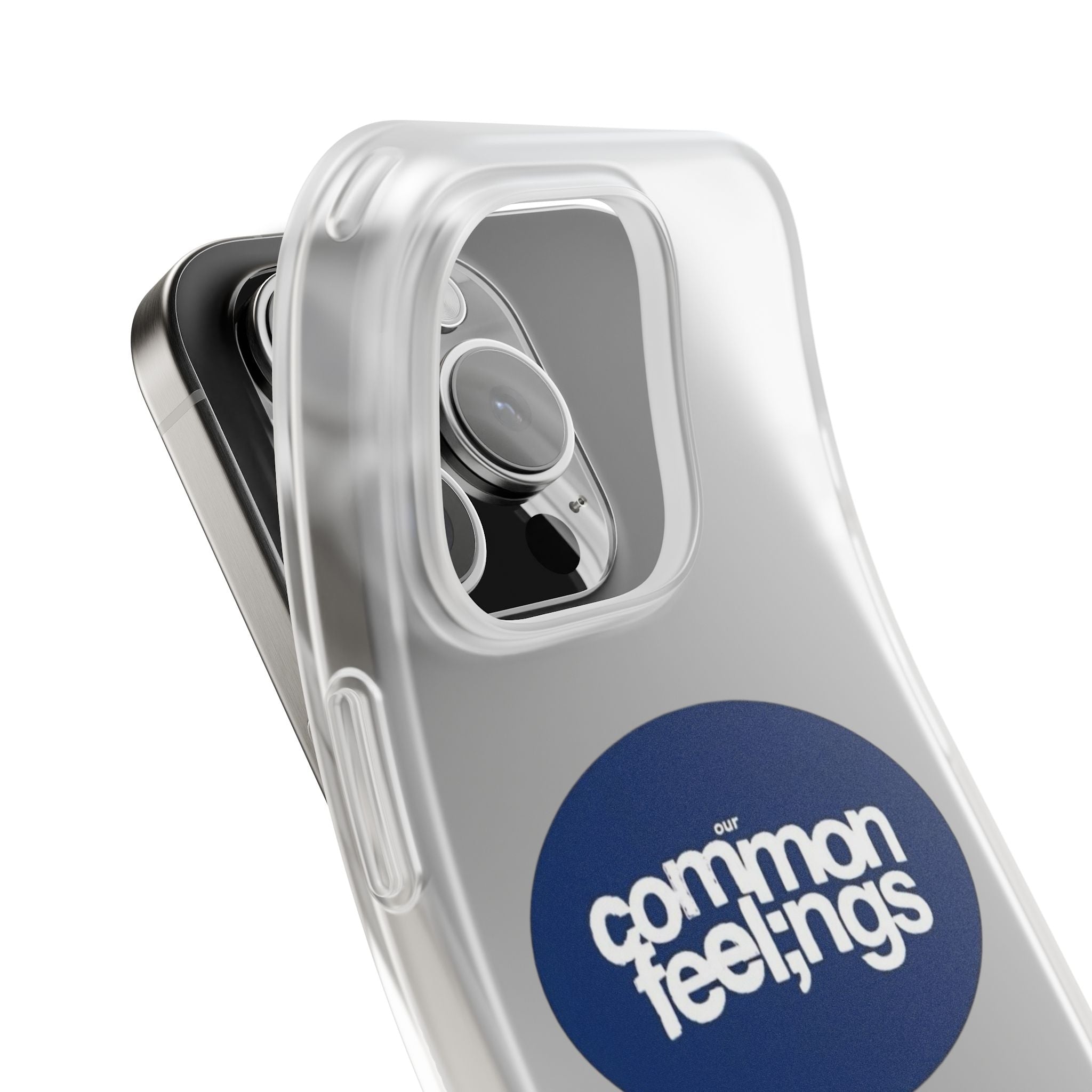 Our Common Feelings Case