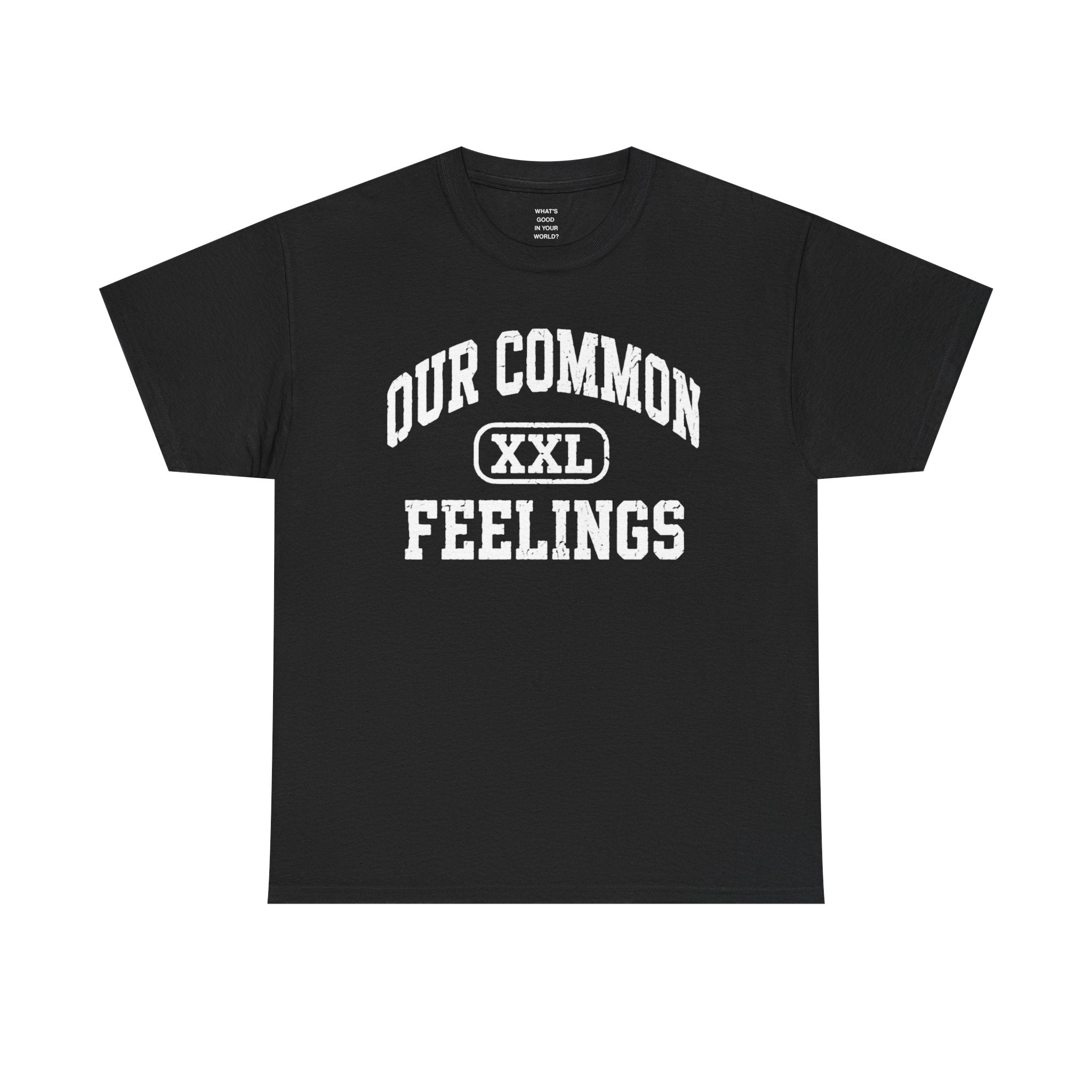 Our Common Feelings XXL Tee — Vintage College Graphic Shirt